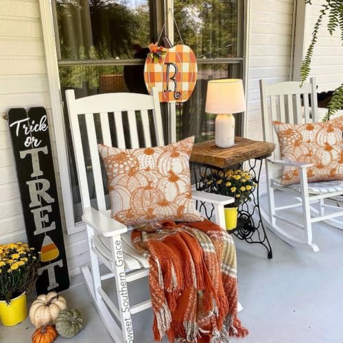 RABUSOFA Pumpkin Pillow Covers 18x18 (Set of 2) - Fall Outdoor Decor