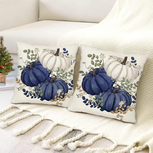 Fall Blue Pumpkin Pillow Covers 16x16 Inch Set of 2 - Farmhouse Decor