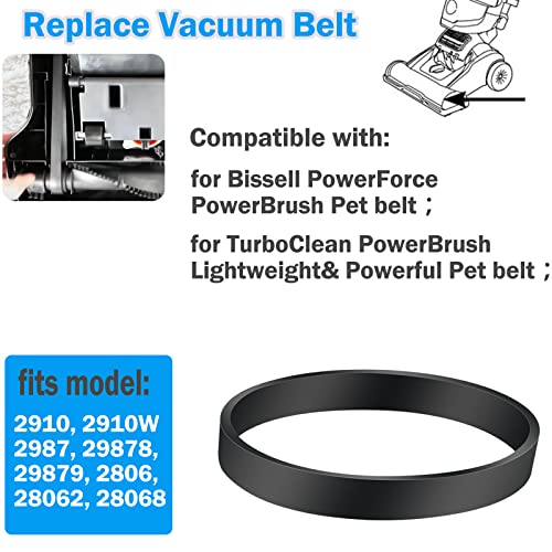 Replacement Vacuum Belt for Bissell PowerBrush Pet & TurboClean Models 2910, 2987 - 2 Pack