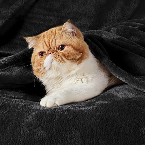 Bedsure GentleSoft Fleece Blanket - Black Large (120x120 inches) - Cozy Luxury Microfiber