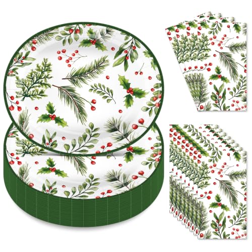 Christmas Oval Paper Plates and Napkins Set 50 Pcs - Holiday Party Supplies
