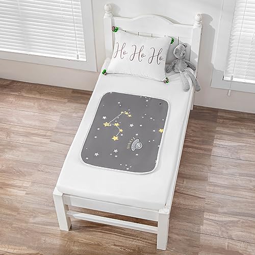 WenBags Washable Bed Pads for Incontinence | Large Waterproof Mattress Protector