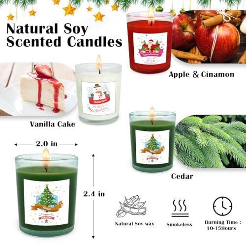Christmas Scented Votive Candle Set - 12 Pack with Apple & Cinnamon, Vanilla Cake, Cedar Scents