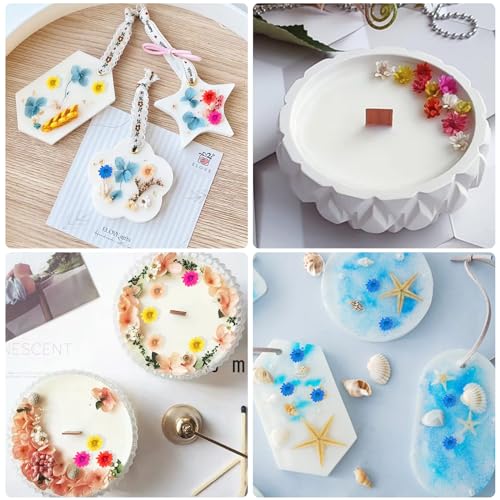 560 PCS Natural Dried Flowers for Resin Jewelry, Soap & Candle Making