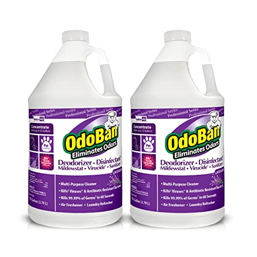OdoBan Professional Lavender Disinfectant Concentrate 2-Pack