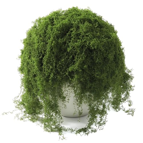 ARTKAIKE Fake Moss for Crafts, 7oz Artificial Dark Green Moss for Terrariums