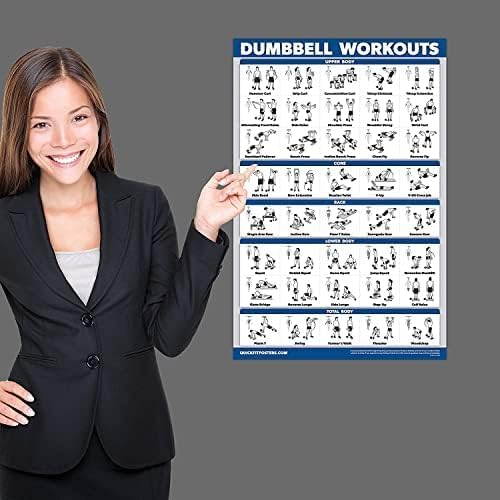 Palace Learning Dumbbell Workout Poster - Laminated Free Weight Bodybuilding Guide | 18" x 24" Home Gym Chart