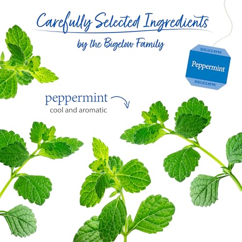 Bigelow Peppermint Herbal Tea - Caffeine Free, 20 Count