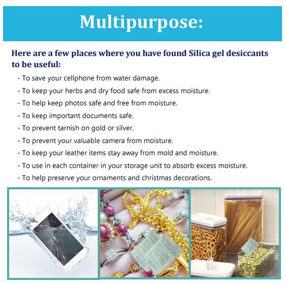 Premium Silica Gel Desiccant Packs - 100 Packets, 2g Each for Moisture Control