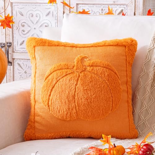 AQOTHES Pumpkin Fall Orange Rust Throw Pillow Cover 18 x 18 - Set of 1, Autumn Decor