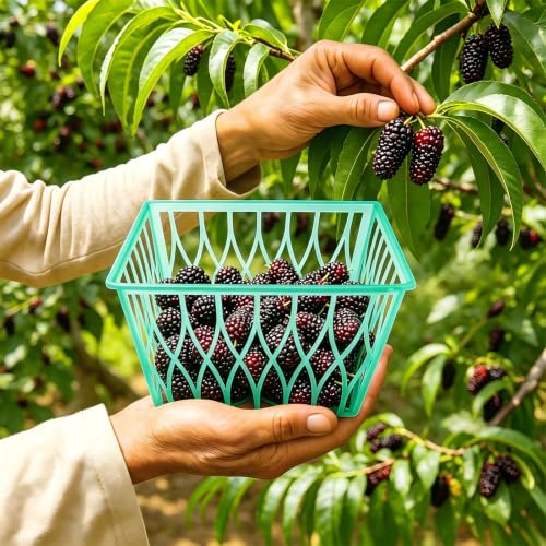 20 Pack Plastic Berry Baskets - 4-Inch Fruit & Vegetable Storage