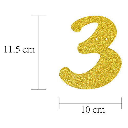Cheers to 30 Years Gold Glitter Banner for 30th Birthday Party