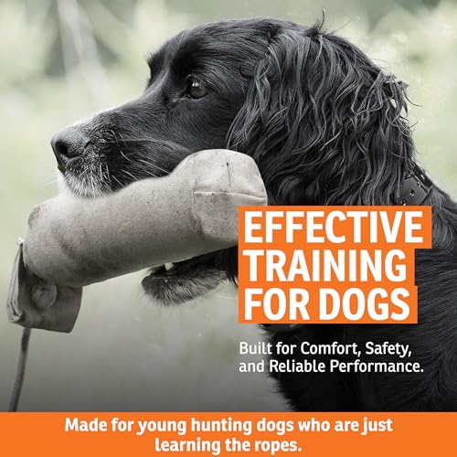 SportDOG Natural Canvas Dummy for Training, Regular Size 2.75 x 12 inches