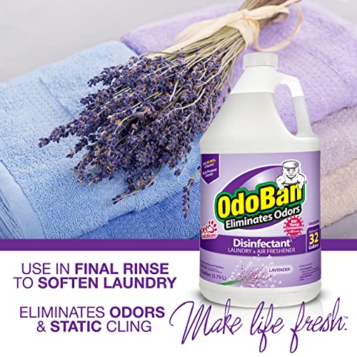 OdoBan Disinfectant Concentrate and Odor Eliminator, Lavender, 1 Gallon