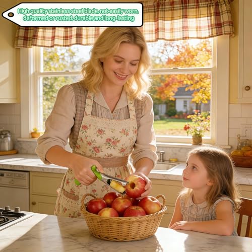 Stainless Steel Apple Corer Tool with Ergonomic Handle
