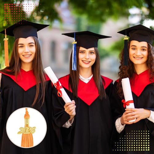 2026 Graduation Tassel Set - 2 Orange Tassels with Gold Charm