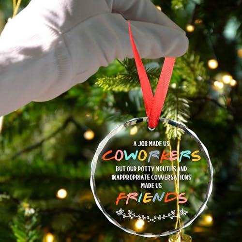Humorous Glass Ornament Farewell Gift for Coworkers & Friends