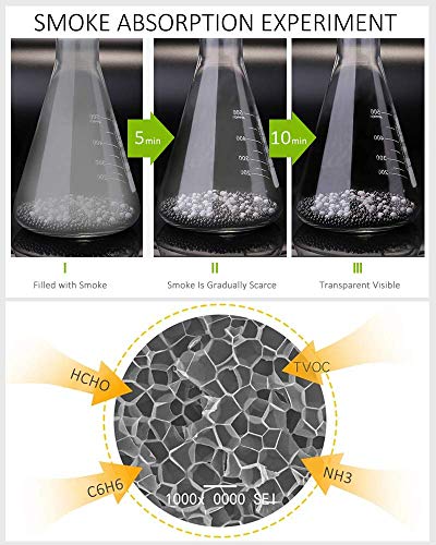 Activated Charcoal Air Purifying Bags - 2-Pack 200g with Storage Box