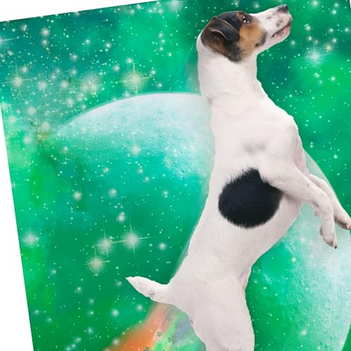 Funny St. Patrick's Day Card - Dog Tooting Rainbows