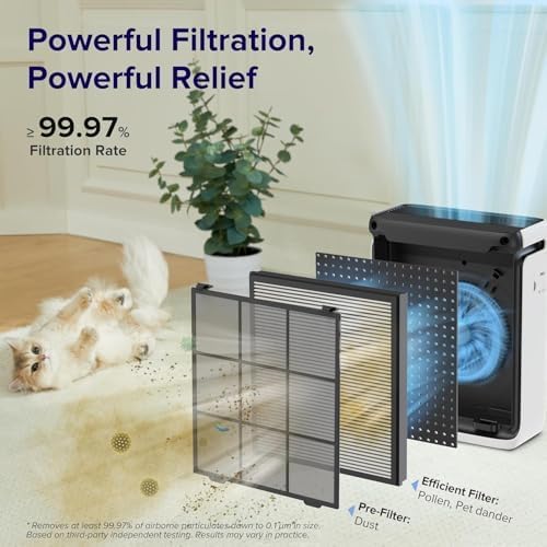 LEVOIT Vital 100S-P Air Purifier Filter - Genuine HEPA & Activated Carbon for Pet Dander & Allergens | 1 Pack