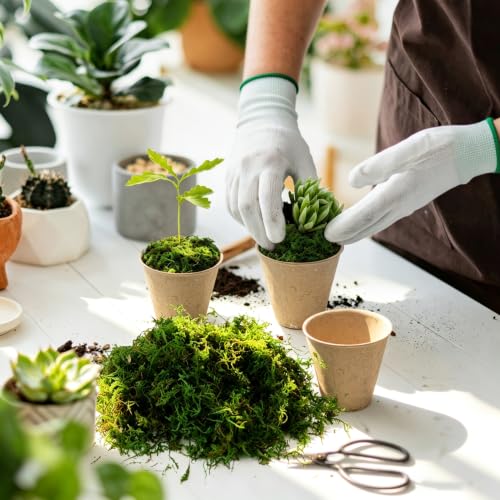 10oz Artificial Green Moss for Crafts and Terrariums with Tool Kit
