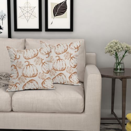 18x18 Inch Set of 2 Burnt Orange Pumpkin Print Pillow Covers