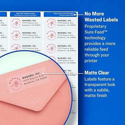 Avery Clear Address Labels, 1 x 2-5/8 Inch, Matte Finish, 300 Labels (Pack of 5)