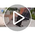 TriPole USB Mini Desk Fan - Portable White Fan with 3 Speeds