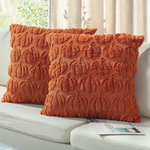 Robvobe Fall Pumpkin Pillow Covers 18x18 Set of 2 Autumn Decor Plush Jacquard