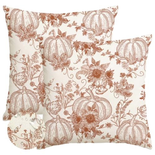 RABUSOFA Fall Pillow Covers 18x18 Inch Set of 2 - Rust