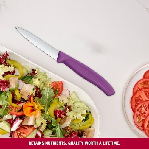 Victorinox Swiss Classic Purple Paring Knife - NSF Approved