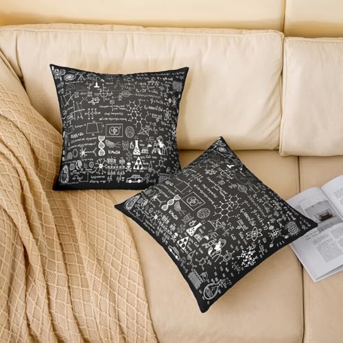Chemical Formula Throw Pillow Covers, 16x16 Inch Science Theme, Pack of 2