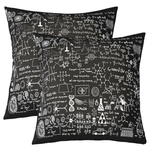 Chemical Formula Throw Pillow Covers, 16x16 Inch Science Theme, Pack of 2