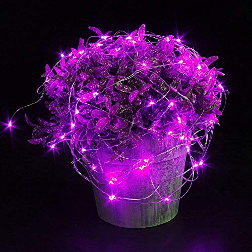 HDSHIMAO 3 Pack Battery Operated Fairy Lights 6.6ft 20 LED Silver Wire Purple