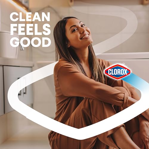 Clorox Heavy-Duty Toilet Bowl Cleaner Gel, Arctic Clean, 24 oz (Pack of 2)