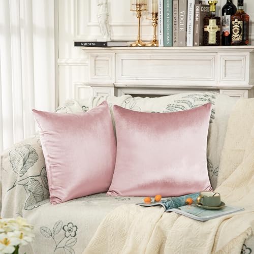 Counfeisly Pink Velvet Throw Pillow Covers, 18x18 Inch, 2 Pack