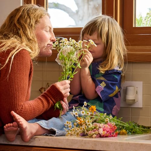 Mrs. Meyer’s Clean Day Scented Oil Diffuser Kit Unscented Wall Mount, 1 Count