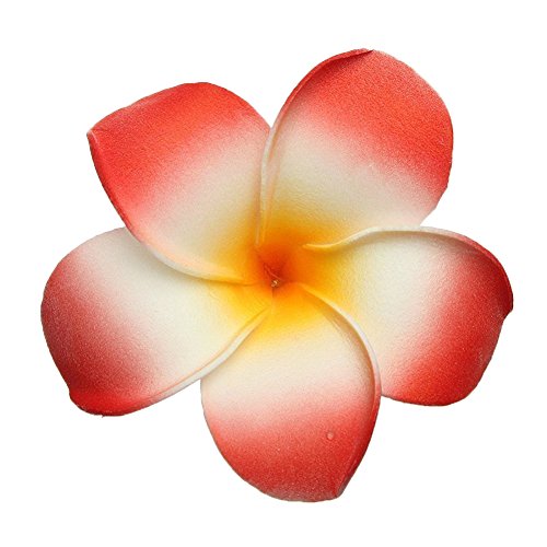 FSSTUD 10 Pcs 7cm Hawaiian Foam Flower Hair Clips Multicolor Beach
