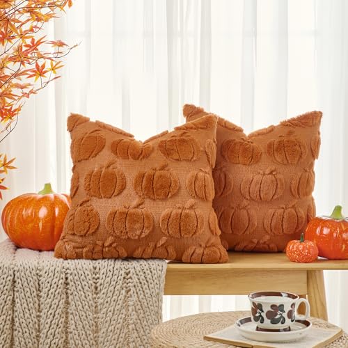 Volcanics Rust Pumpkin Fall Throw Pillow Covers 20x20 Set of 2 - Faux Fur Accent Cushions for Autumn Decor
