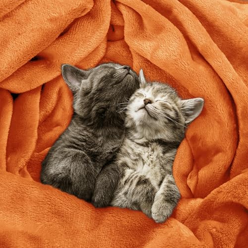 Utopia Bedding Soft Flannel Fleece Blanket - Twin Size, Burnt Orange