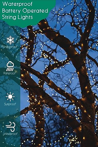 Battery Operated Christmas String Lights 50 LED with 8 Modes & Timer