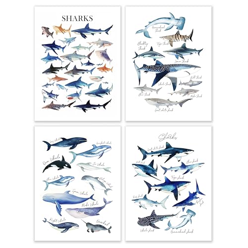 Shark and Whale Ocean Wall Art Prints Set of 4 - 12x16 Unframed