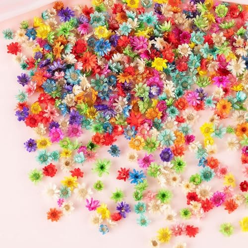 560 PCS Natural Dried Flowers for Resin Jewelry, Soap & Candle Making