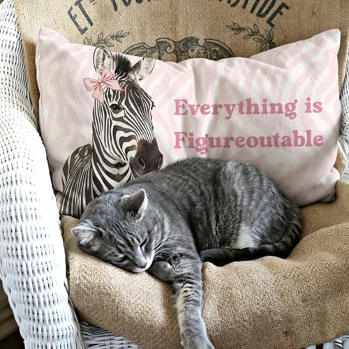 Pink Zebra Bible Throw Pillow Cover 12x20 Inch - Cute Coquette Decor