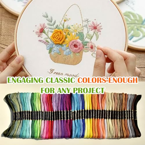 LE PAON 50 Skeins Rainbow Embroidery Floss for Crafts