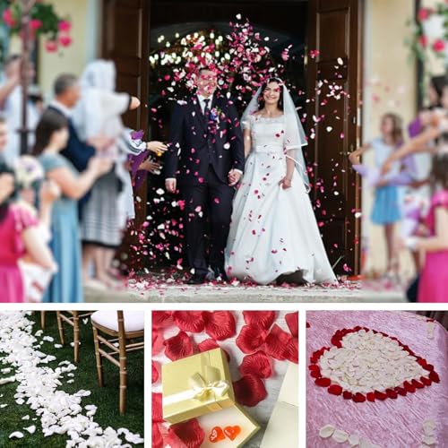Black Silk Rose Petals - Realistic Non-Woven Flower Petals, 1000 PCS