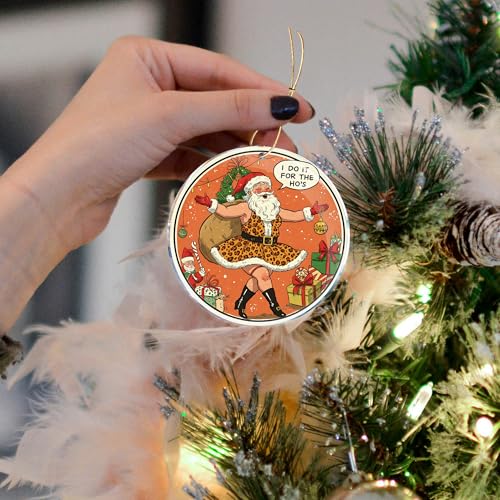 Funny Santa Leopard Acrylic Christmas Ornaments - 3.6in