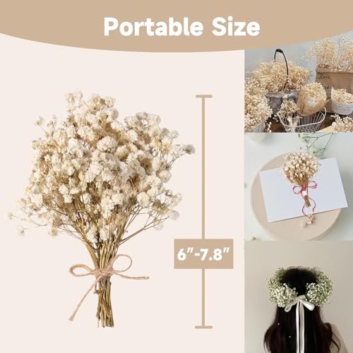 Dried Baby's Breath Bouquet - Pure White Gypsophila Flowers for DIY Decor