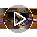 Black Graduation Cap Ring Box - Class Ring Storage and Keepsake
