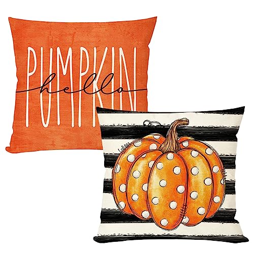 Orange Pumpkin Fall Throw Pillow Covers Set of 2 18x18 - PANDICORN Farmhouse Decor